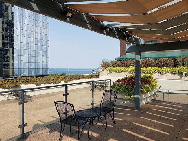 Building Photo - 474 N Lake Shore Dr