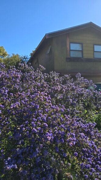 Building Photo - 5913 Amend Rd