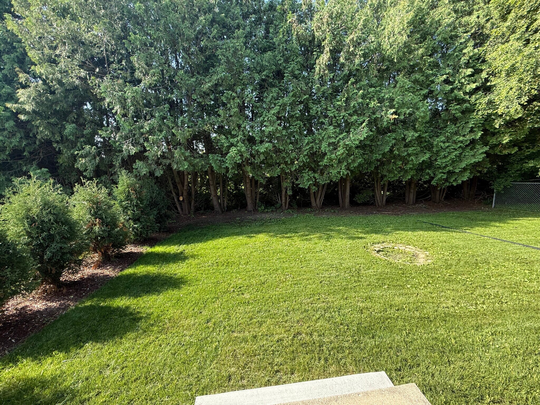 Backyard View - 211 E Paradise Dr