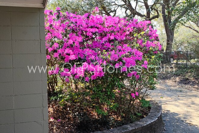 Building Photo - Bayou-Front Home w/ Dock