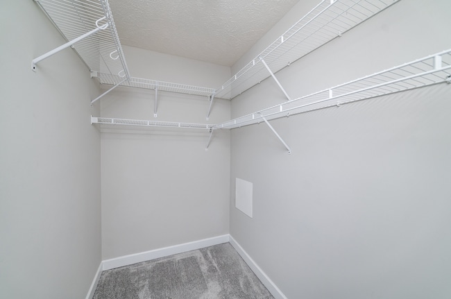 Building Photo - 3 Bedroom || 2 Bathroom Home in Madison He...