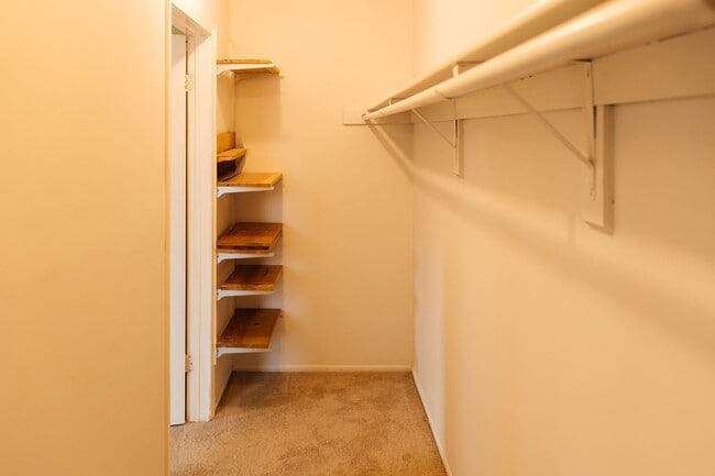 Building Photo - 1304 Normandy Ct