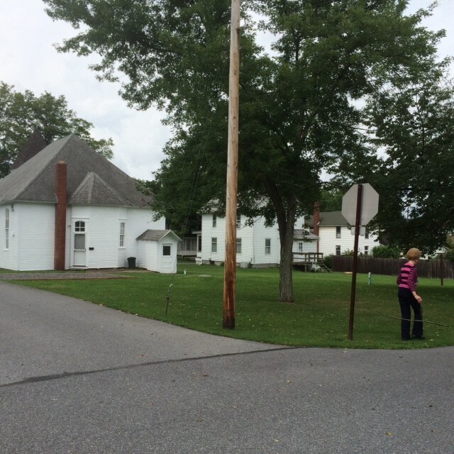 back yard - 50 Juniper St