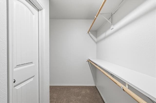 Building Photo - 4103 Passage Wy