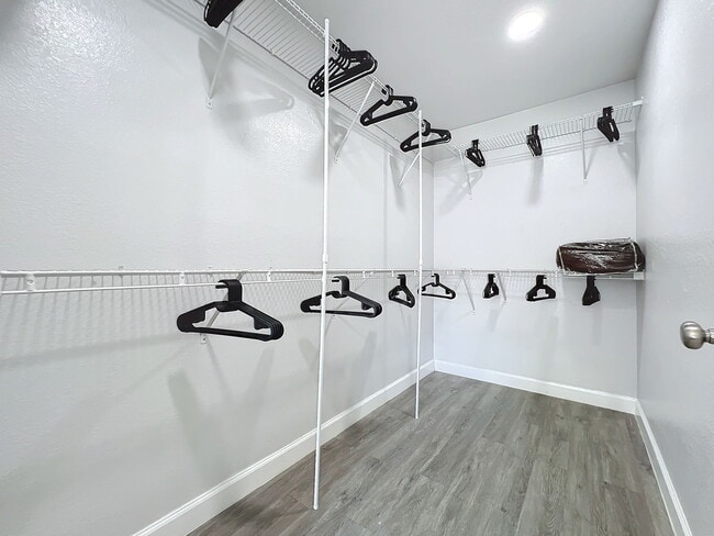 Building Photo - Westpointe Boulevard, Orlando, FL 32835 - 1 BR 1 BA condo