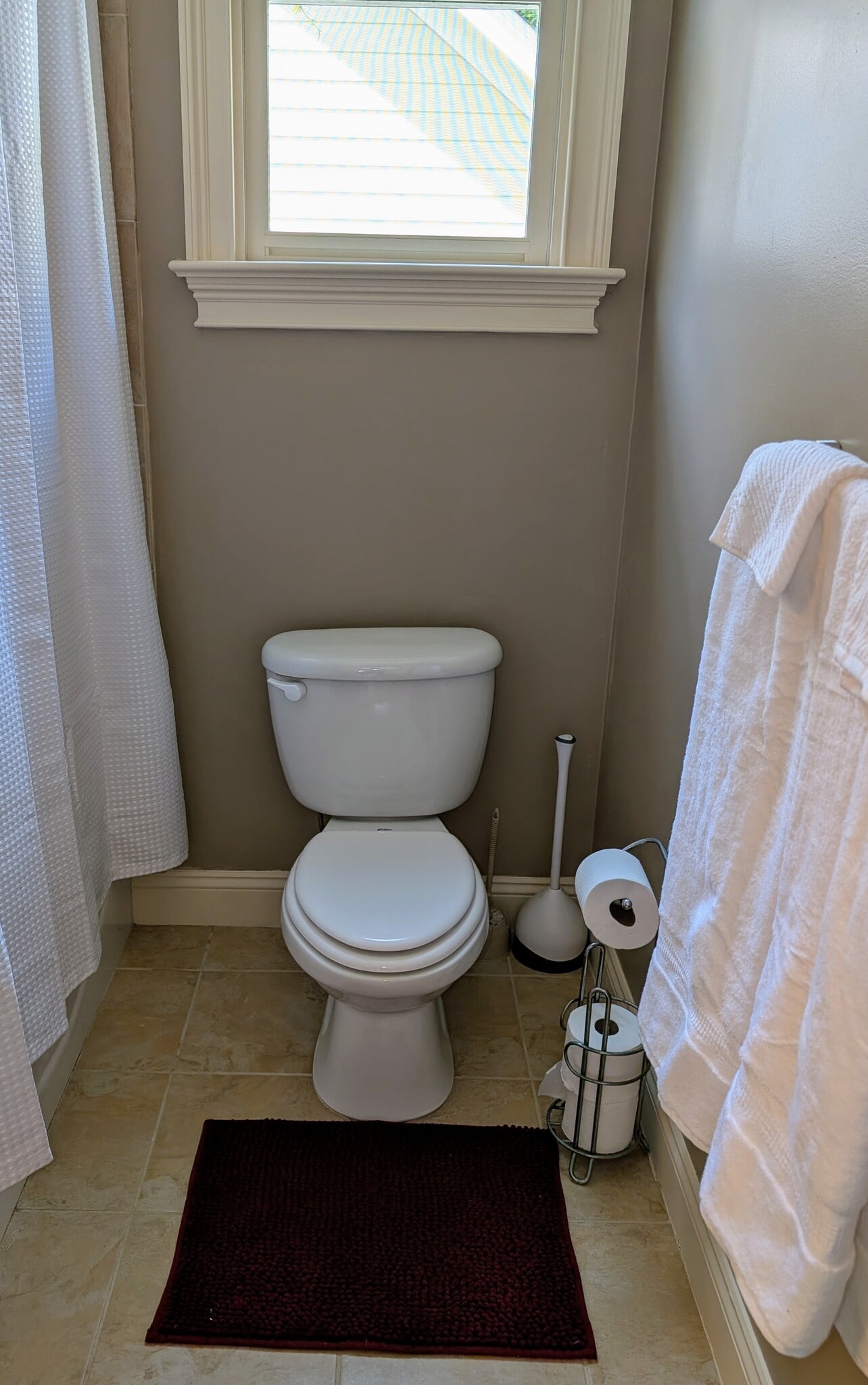 Toilet - 217 W Winmore Ave