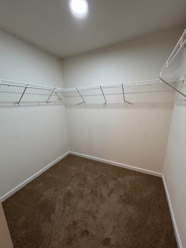 Building Photo - 1048 Limpkin St