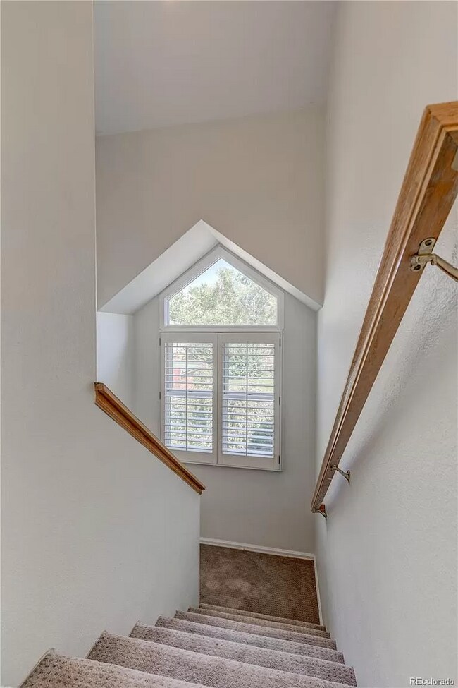 Building Photo - 552 Steele St