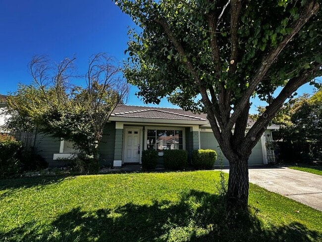 Building Photo - 3 Bedroom 2 Bath House with Amazing Rosevi...