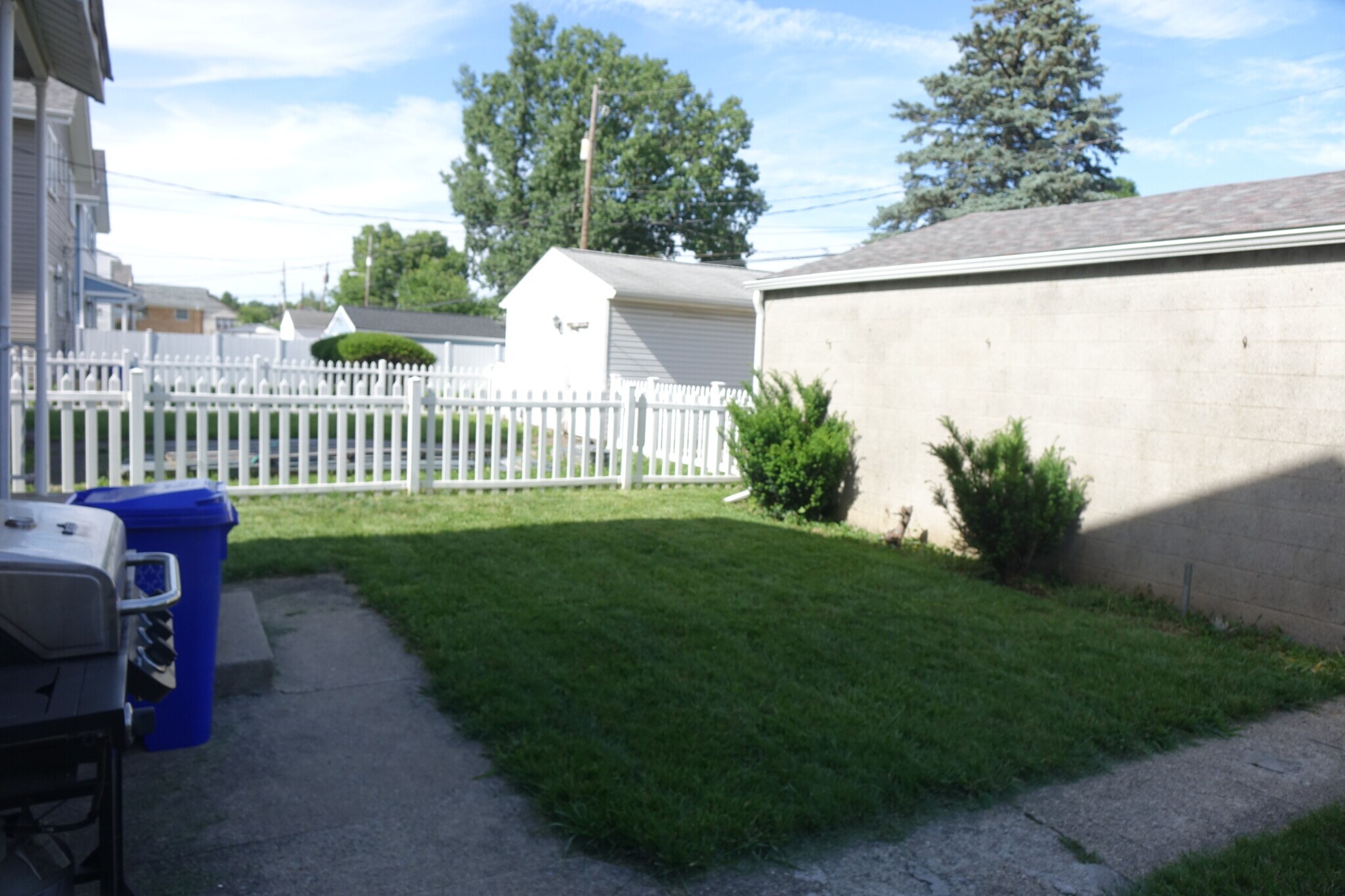 Backyard - 908 Thomas Rd
