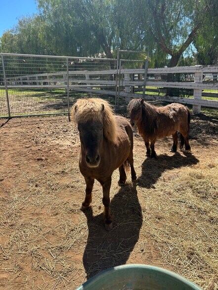 Building Photo - 40500 Avenida La Cresta