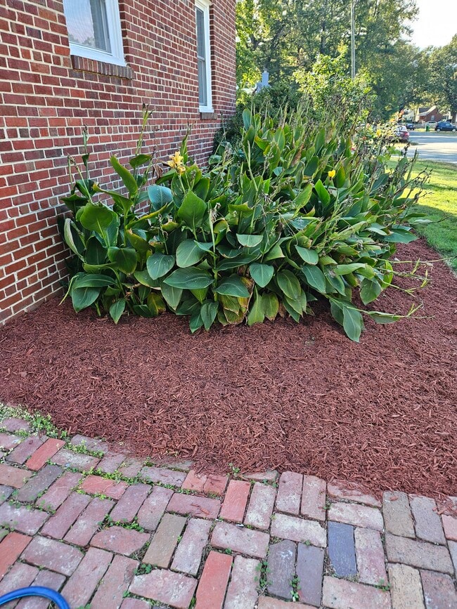 Building Photo - 3909 Patrick Ave