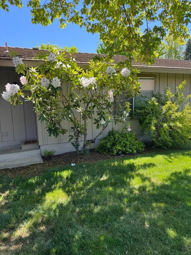 Building Photo - 300 Shafer Ln