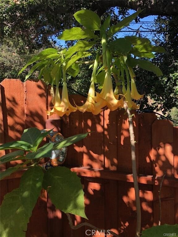 Building Photo - 456 S Skyline Dr