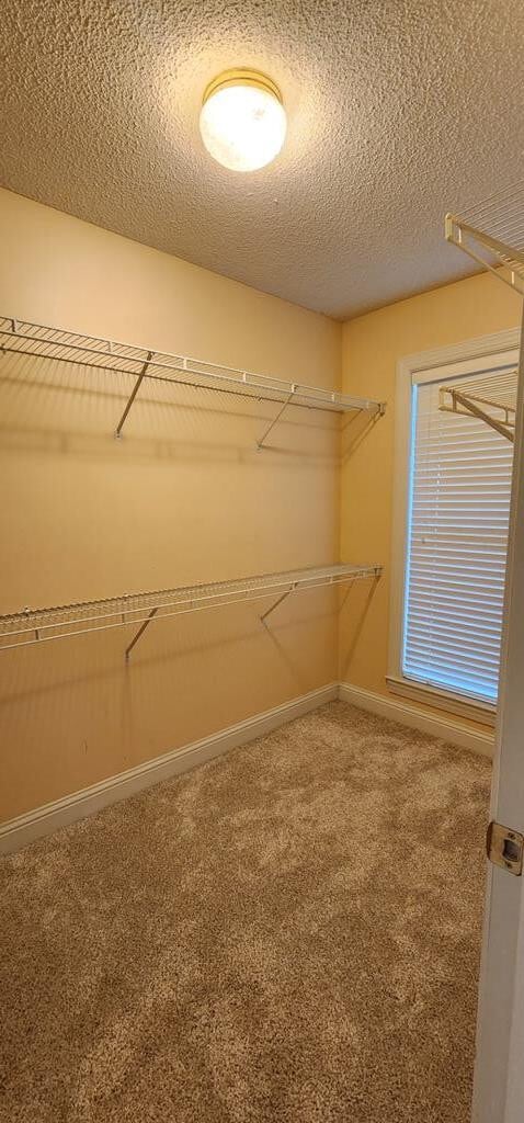 Building Photo - 1159 Shoreland Dr