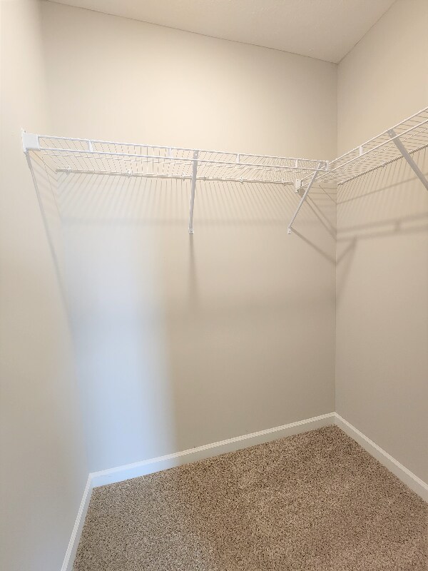Building Photo - 4222 Spyglass Dr