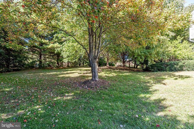 Building Photo - 1168 Taji Ct