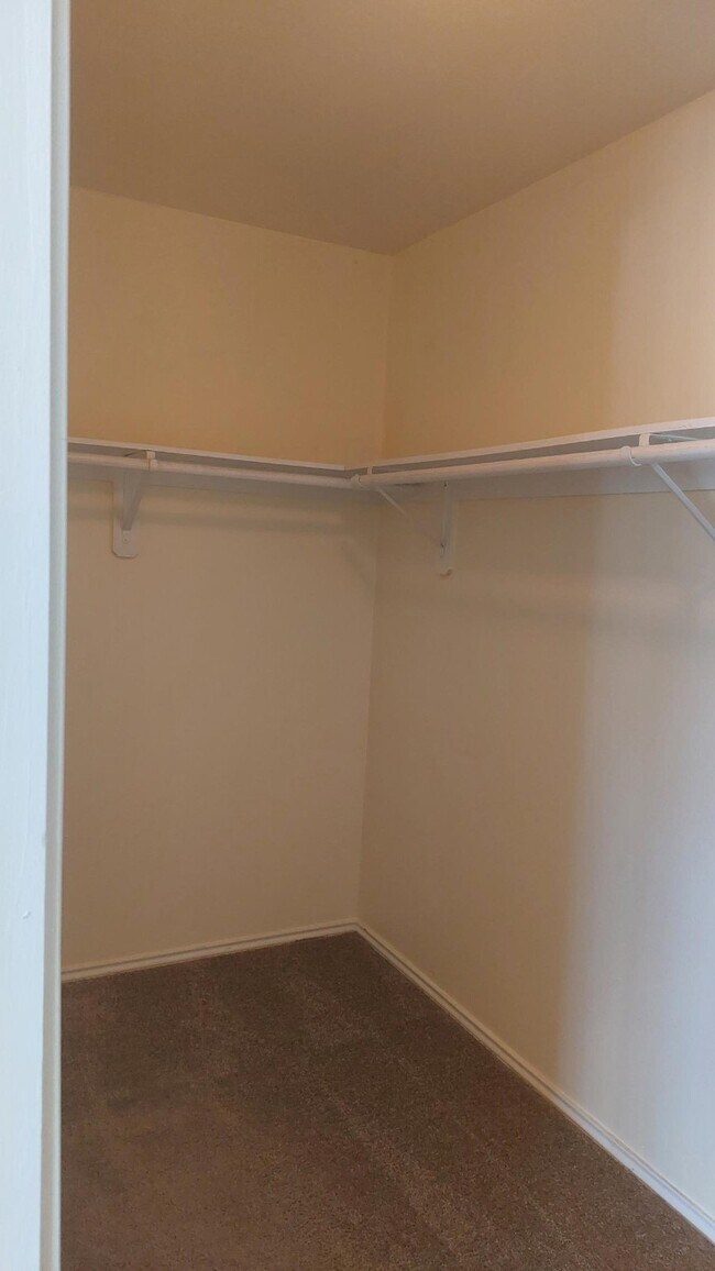 Building Photo - 4603 Cypress Colony Ln
