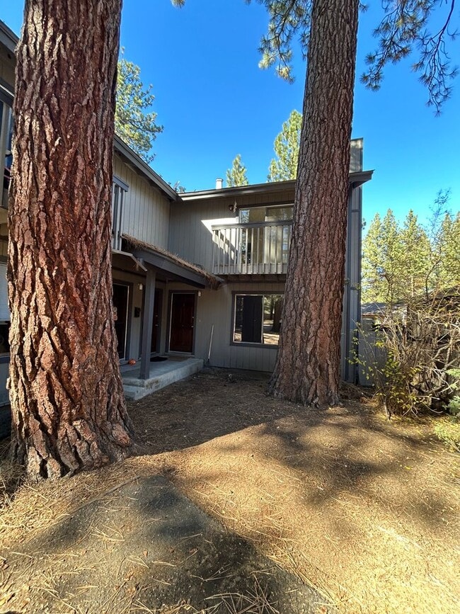 Building Photo - 2513 Ponderosa St