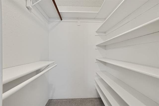 Building Photo - 2816 Terry Ct