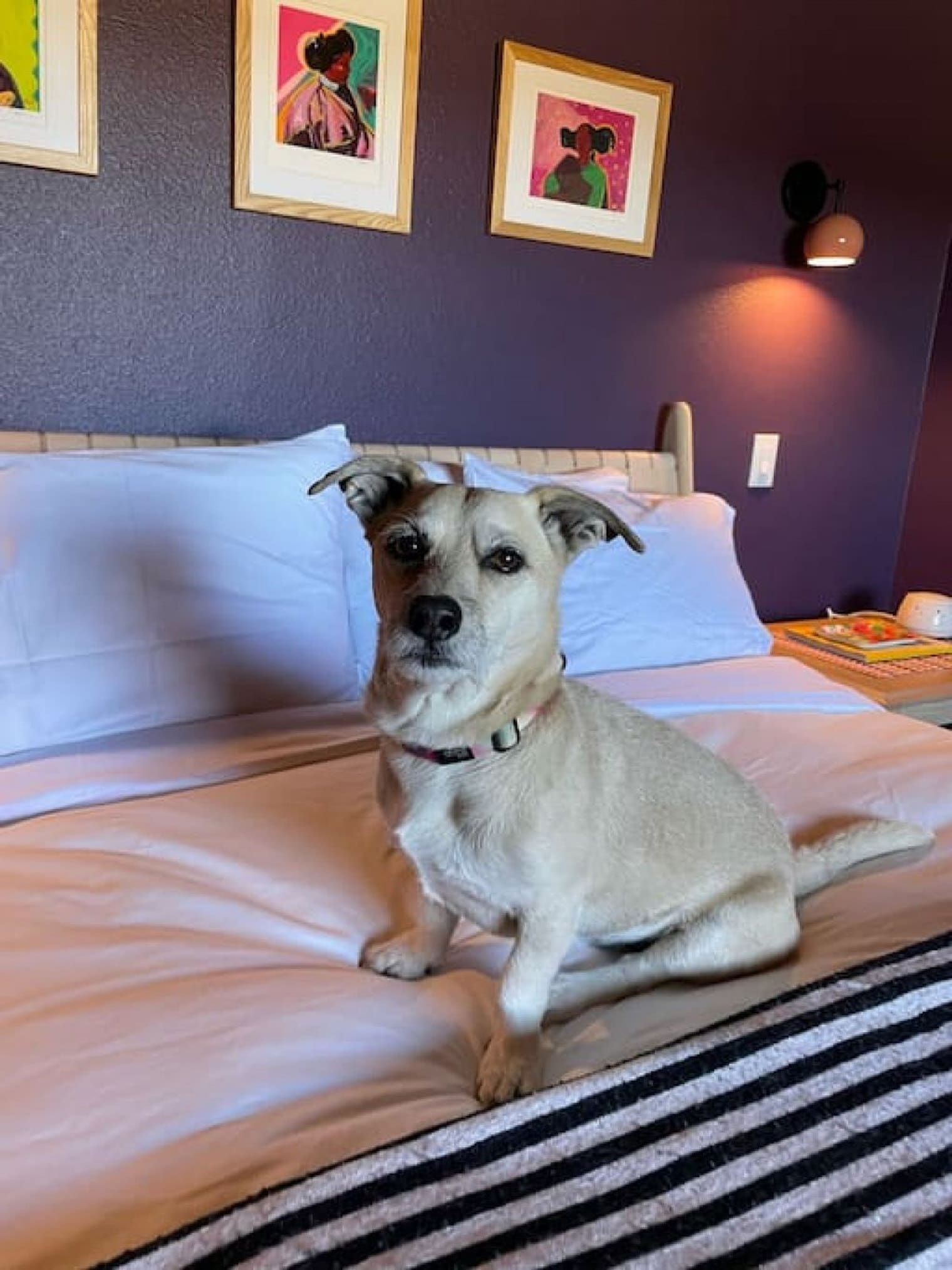 Building Photo - 1127 Siler Park Ln