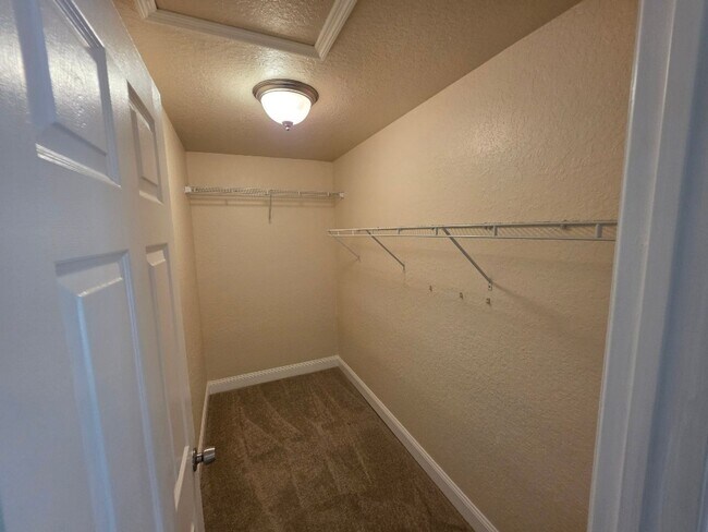 Building Photo - Beautiful 3 Bedroom 2 Bathroom Daytona Beach Home