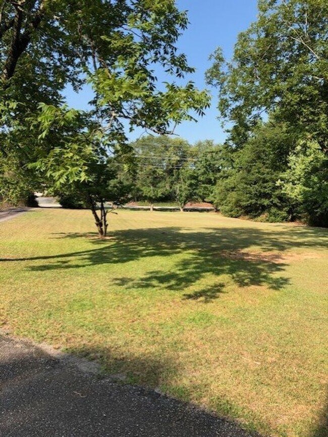 Building Photo - 217 Roper Mountain Rd Ext