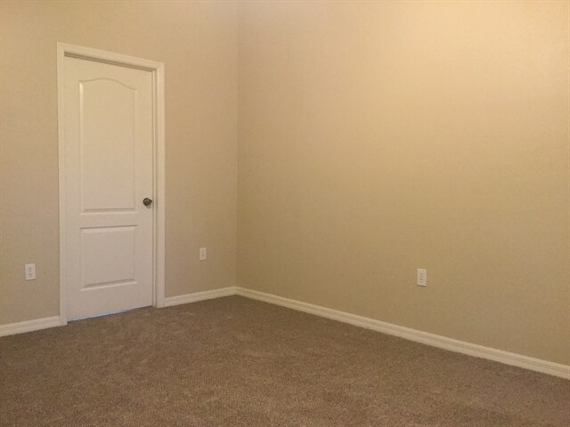 Building Photo - 3709 Cinnamon Fern Loop