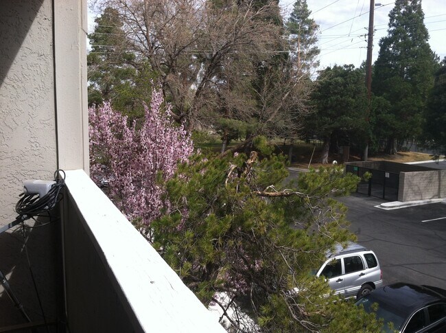 outside view - 2845 Idlewild Dr