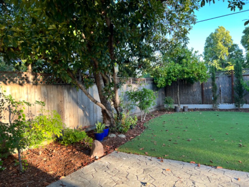 Building Photo - 419 Okeefe St