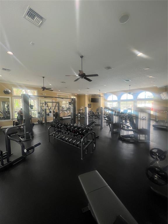 Building Photo - 11564 Mizzon Dr