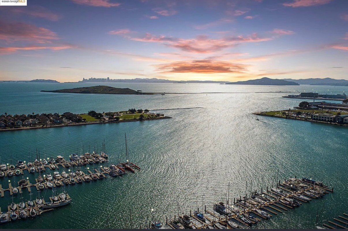 Building Photo - 15 Shoreline Ct