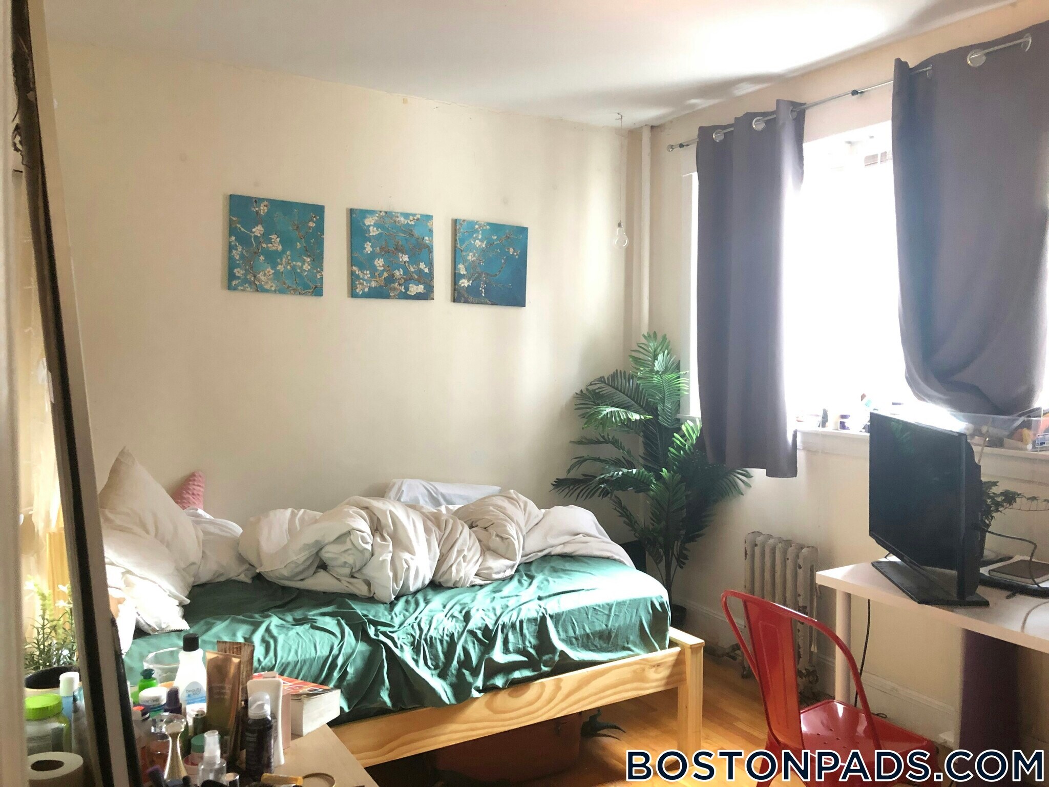 Building Photo - 62 Egmont St