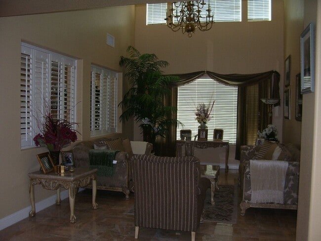 Building Photo - LACEBARK PINE