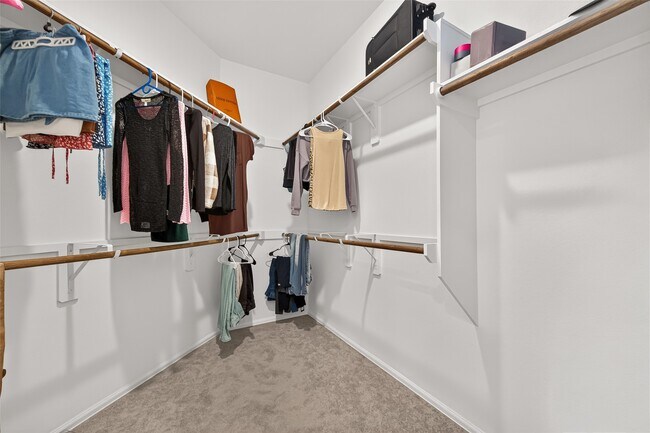 Building Photo - 3112 Catalonion Ct