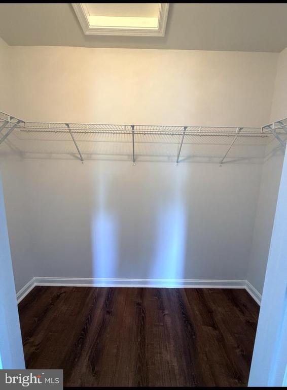 Building Photo - 15335 Elizabeth Burbage Loop