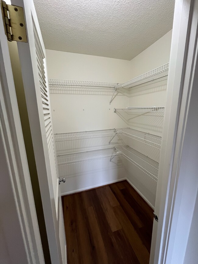 Bedroom 1 walk-in closet - 203 Yoakum Pky