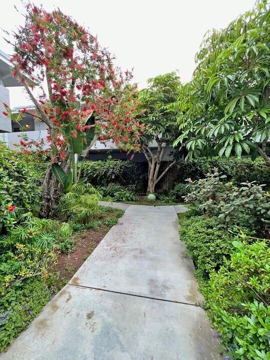 Building Photo - 3806 Pacific Ave