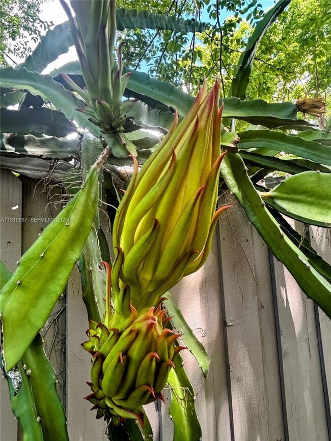 Building Photo - 972 SW 6th Ave