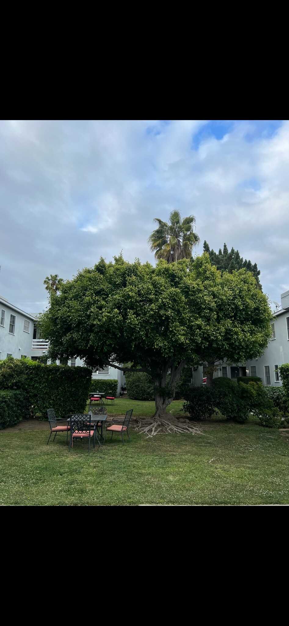 Building Photo - 1252 Franklin St