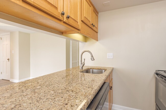 Building Photo - Beautiful 1 Bed 1 Bath near Moses Cone and...