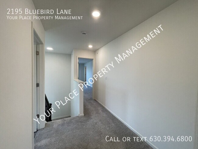 Building Photo - 2195 Bluebird Ln