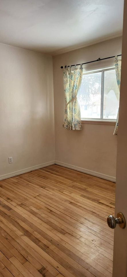 Building Photo - 903 Bannock St