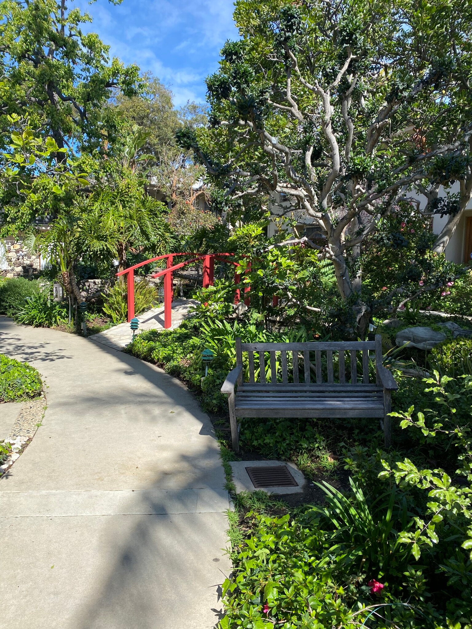 Pond area and walkway - 241 S Barrington Ave