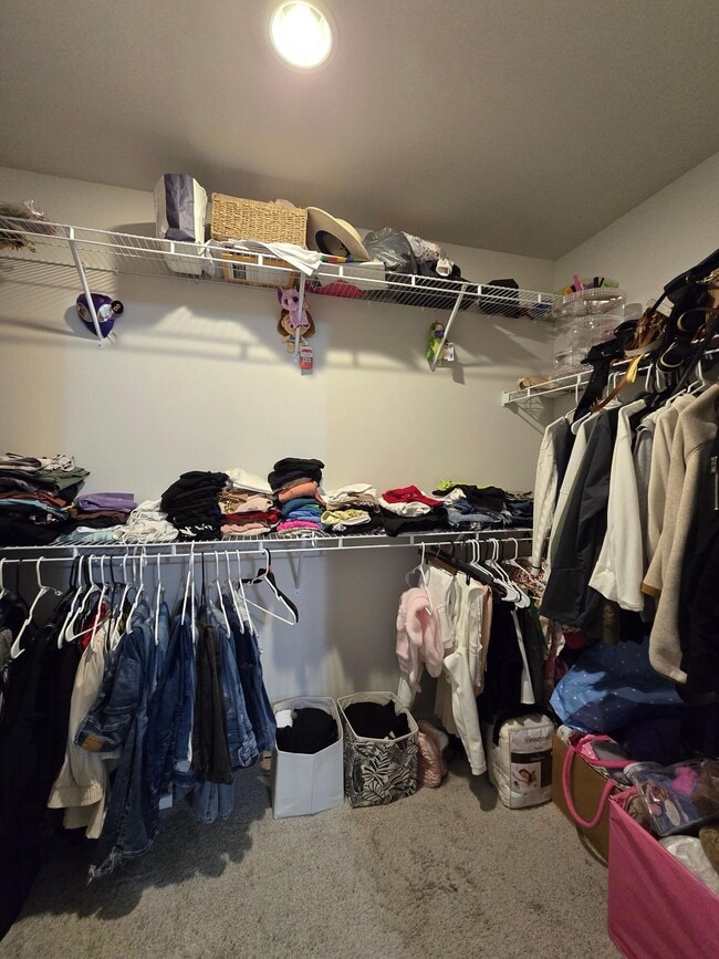 Building Photo - 335 Niblick Dr