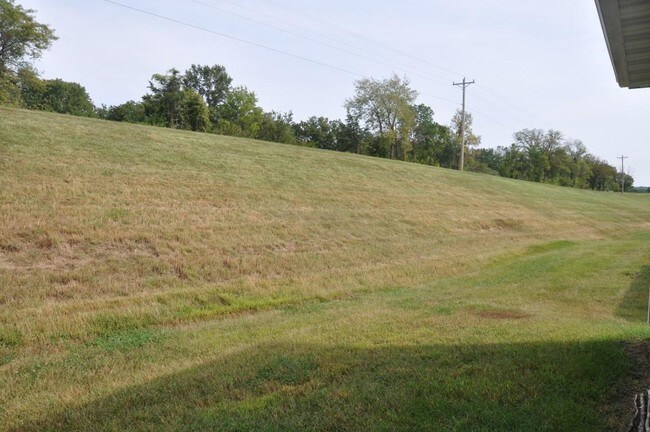 Building Photo - 3505 Timber Run Dr