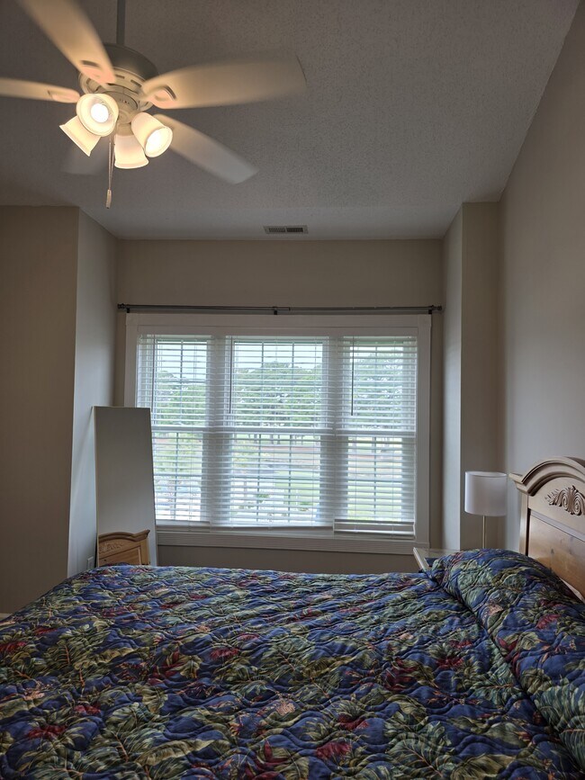 Building Photo - 4879 Dahlia Ct