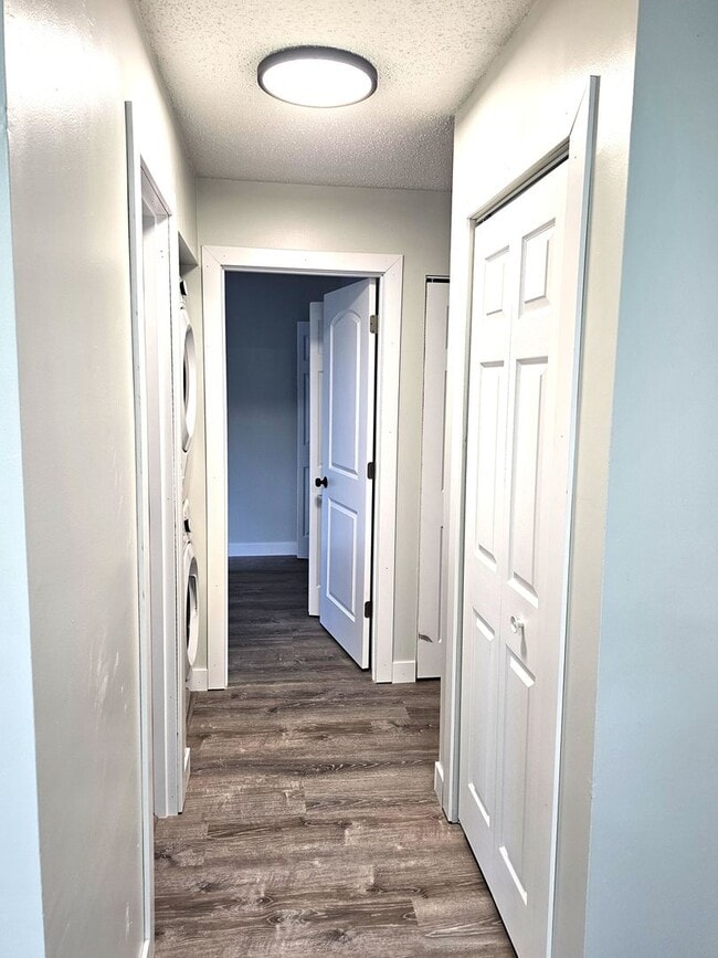 Building Photo - Newly Remodeled 2 Bedroom, 1 Bath — Pet Fr...