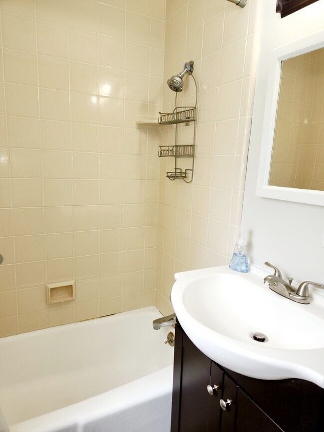 Bathroom #1 (view 3) - 54373 Terrace Ln