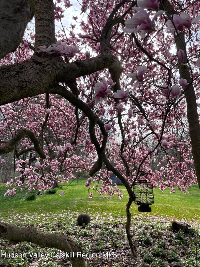 Building Photo - 416 Hapeman Hill Rd